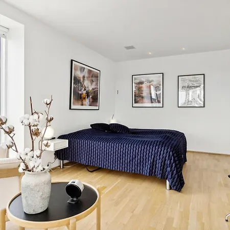 Lejlighed I Penthouse Med Fire Terrasser Balkoner Og En Fantastisk Udsigt Over Havn